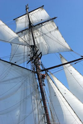 Douarnenez 2006 - Journe du jeudi 27 juillet - La Recouvrance