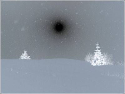 IMG_2990_invert.jpg
