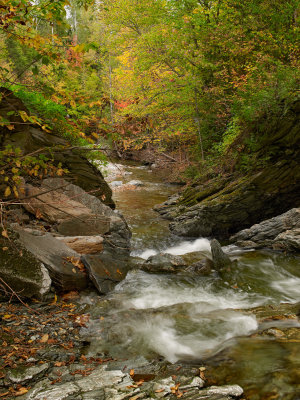 CF012233a.jpg