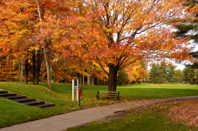 DSC_6506a.jpg