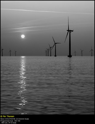 Nysted Offshore Wind Farm