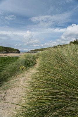 5J6A9040 porth joke.jpg