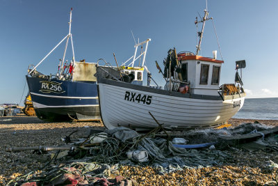 5J6A0497 hastings.jpg