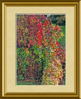 Autumn is a very good painter.