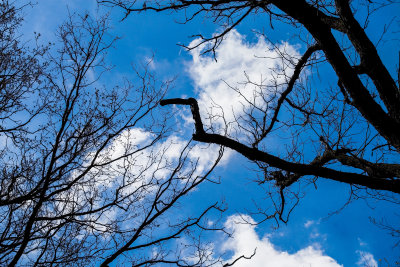 Sky and Clouds