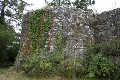 Oldcourt Castle 2.jpg