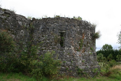 Oldcourt Castle 3.jpg