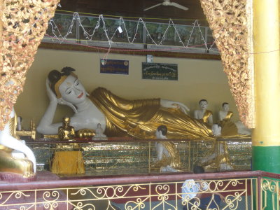Myanmar / Shwedagon Pagoda