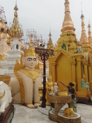Myanmar / Shwedagon Pagoda