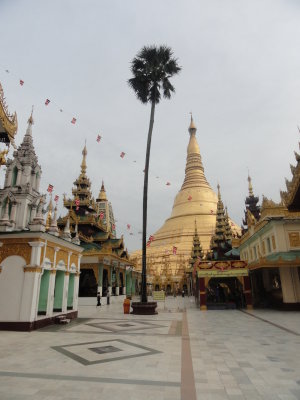 Myanmar / Shwedagon Pagoda