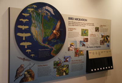 Bird Migration Sign