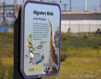 Migratory Birds Sign