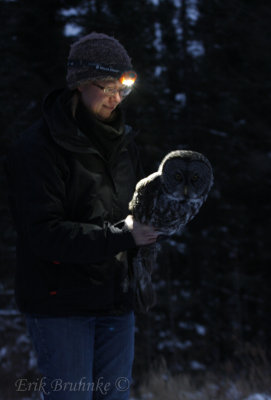 Annmarie with Great Gray Owl