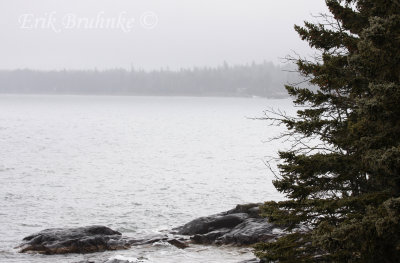 When you go up the North Shore of Lake Superior, you are treated to endless views like this