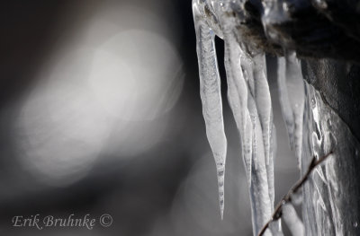 Icicles