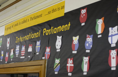 International Parliament of Owls!