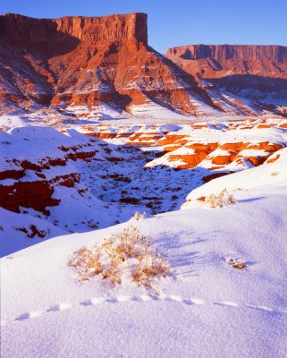 Castle Valley, Utah