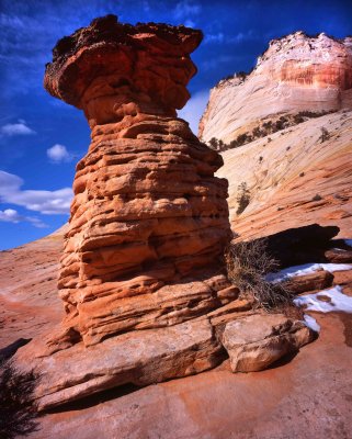 Zion National Park, Utah