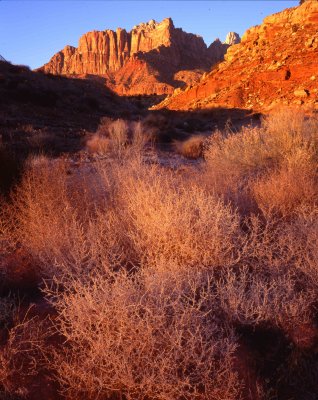 Zion National Park, Utah