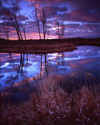 Glacial Park, Hack-ma-tack NWR, IL