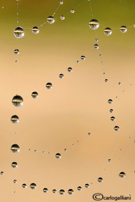 Gocce d'acqua - Drops