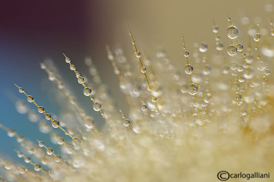 Abstract drops