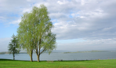 Lac de la Madine