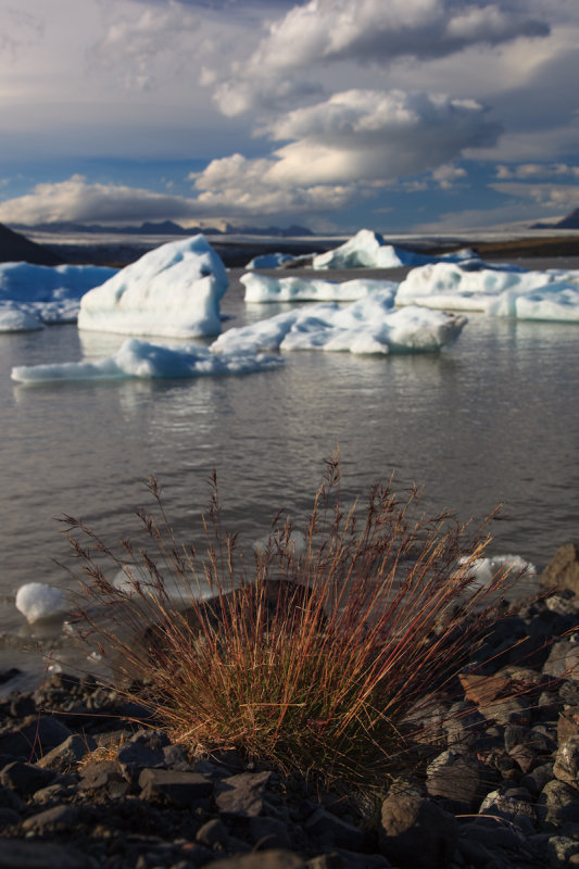 W-2012-08-05 -1653- Islande - Photo Alain Trinckvel.jpg