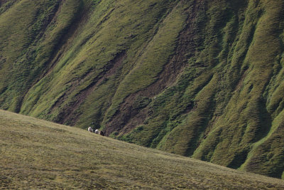 W-2012-08-05 -0346- Islande - Photo Alain Trinckvel.jpg