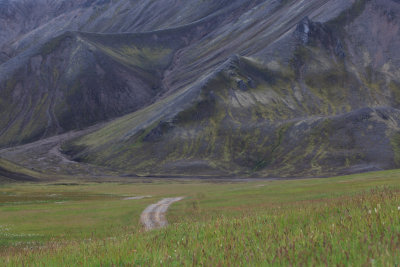 W-2012-08-05 -0756- Islande - Photo Alain Trinckvel.jpg