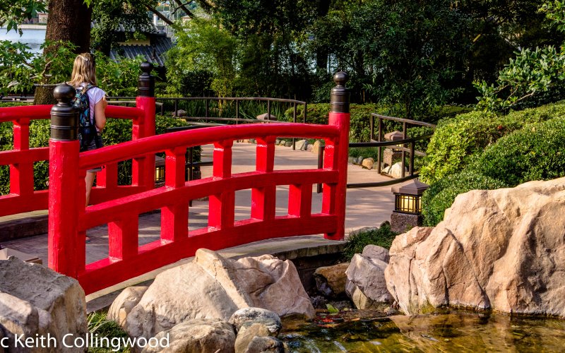 Japan  009.jpg