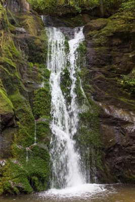 Wolf Creek Waterfall