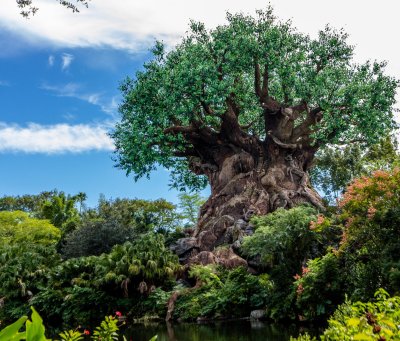 Disney's Animal Kingdom Discovery Island 
