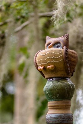 _MG_4546.jpg