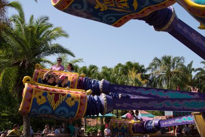 A magic carpet ride!