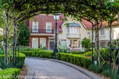 England  _MG_3841_.jpg