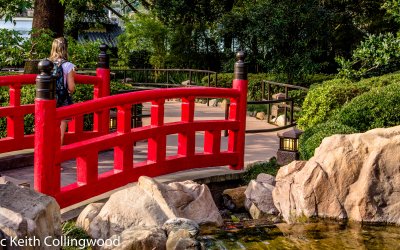 Japan  009.jpg