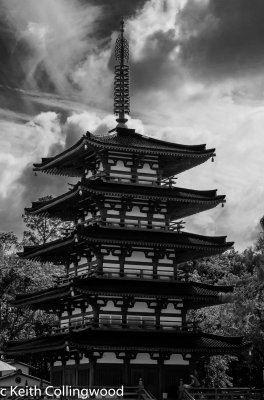 Japan  015.jpg