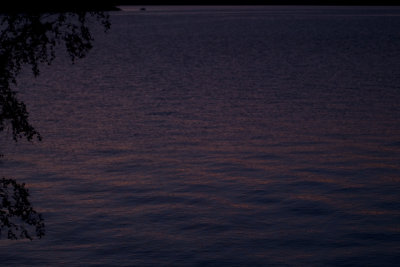 g2/10/1084110/3/149692685.0N6bGtaw.jpg