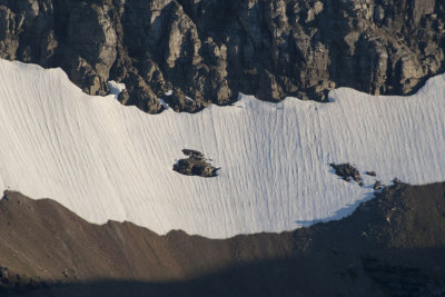 Glacier along Ptarmigan Wall