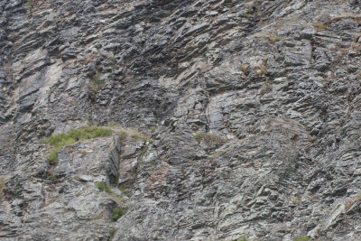 Rock formation along St. Mary Lake