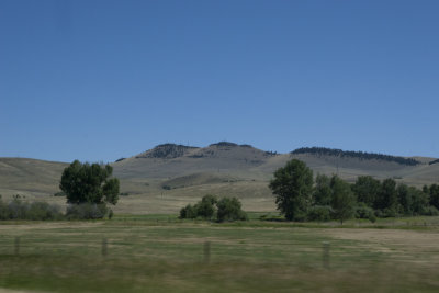 Mountains and trees