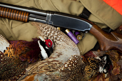 Winchester Model 12 16 Gauge