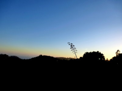 Santa Barbara at dusk 