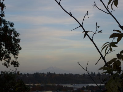 Mt. Hood in the distance