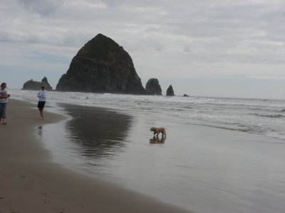 Cannon Beach, Oregon Coast