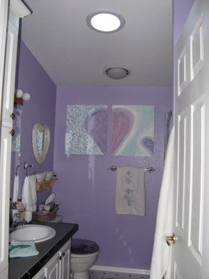 Natural Light Bathroom, Solo Tube