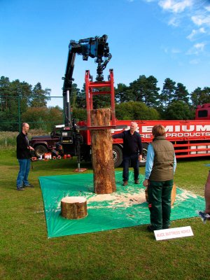 4 Positioning the Log