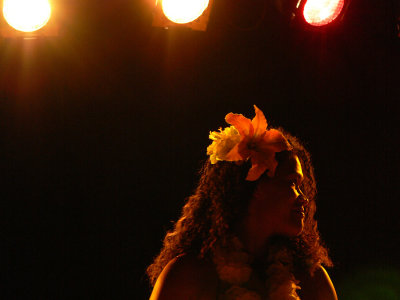 xP1100306.jpg