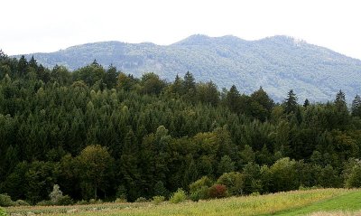 slo_1096.JPG